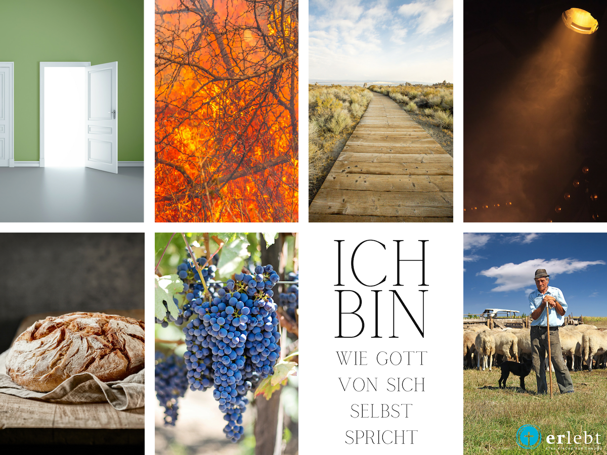 Ich bin - Wie Gott von sich selbst spricht